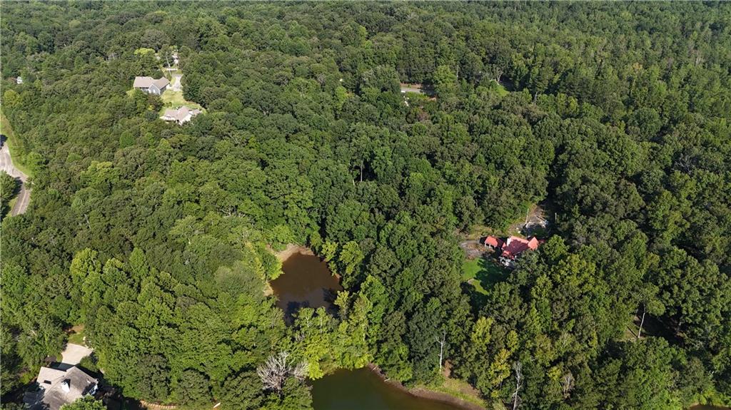 3746 Leach Road Gainesville, GA 30506 - Photo 10 of 12