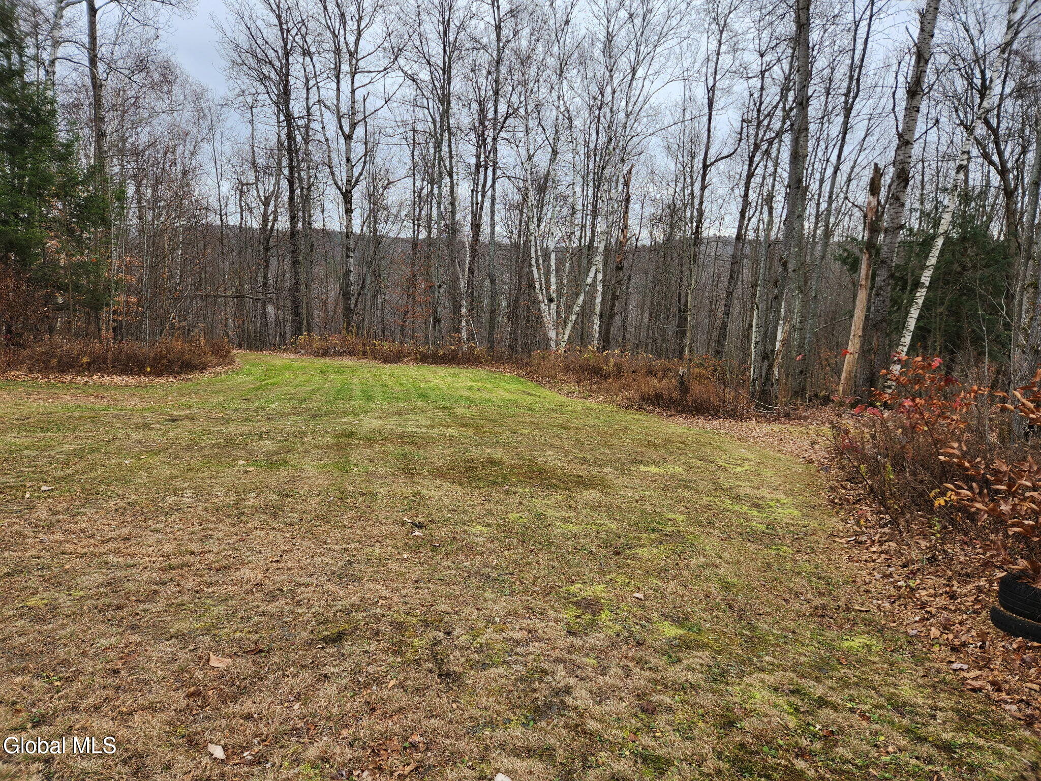 L7.02 Truax Road Worcester, NY 12197 - Photo 2 of 8 yard