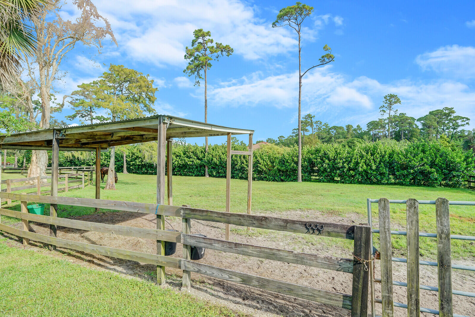 5212 Homeland Road Lake Worth, FL 33449 - Photo 46 of 60 63_Image_8_mls
