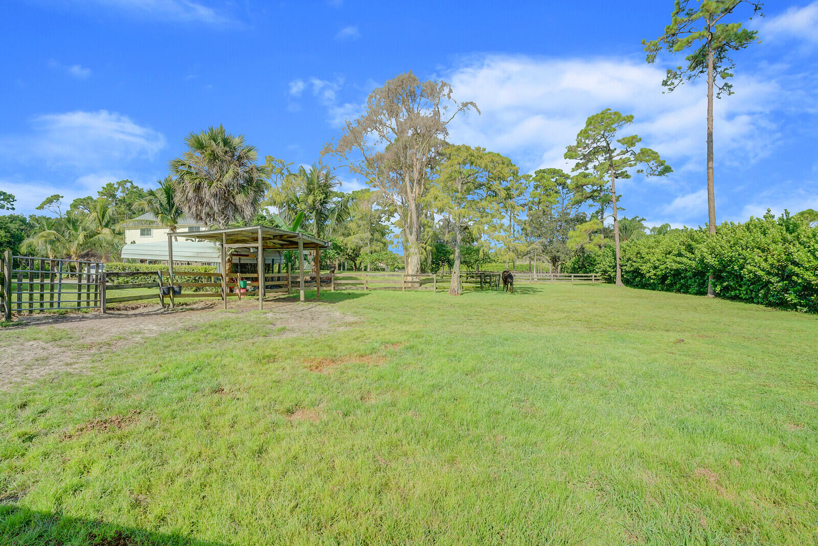 5212 Homeland Road Lake Worth, FL 33449 - Photo 47 of 60 65_Image_10_mls