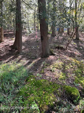 $120,000 | 114 Riverside Drive, Greentown, PA 18426