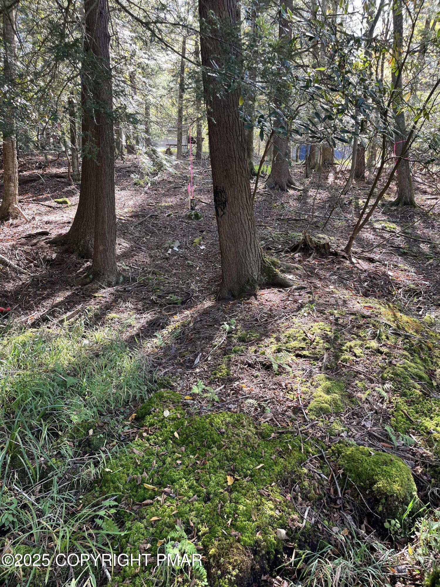 114 Riverside Drive Greentown, PA 18426 - Photo 11 of 20 IMG_1706