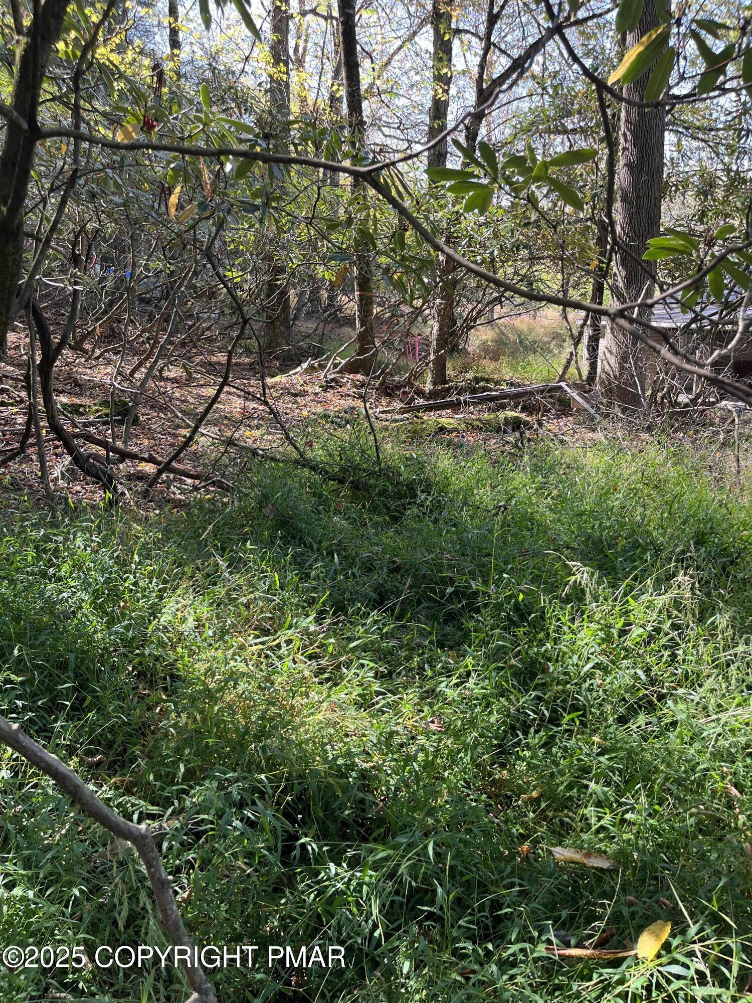 114 Riverside Drive Greentown, PA 18426 - Photo 12 of 20 IMG_1708