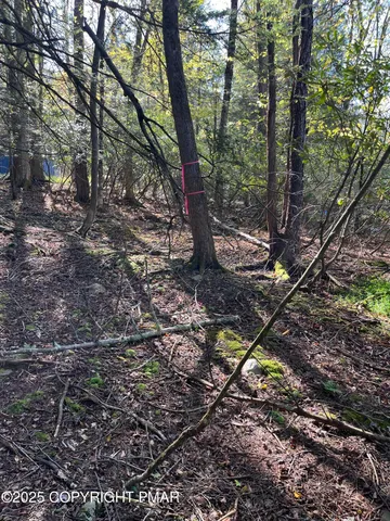 $120,000 | 114 Riverside Drive, Greentown, PA 18426