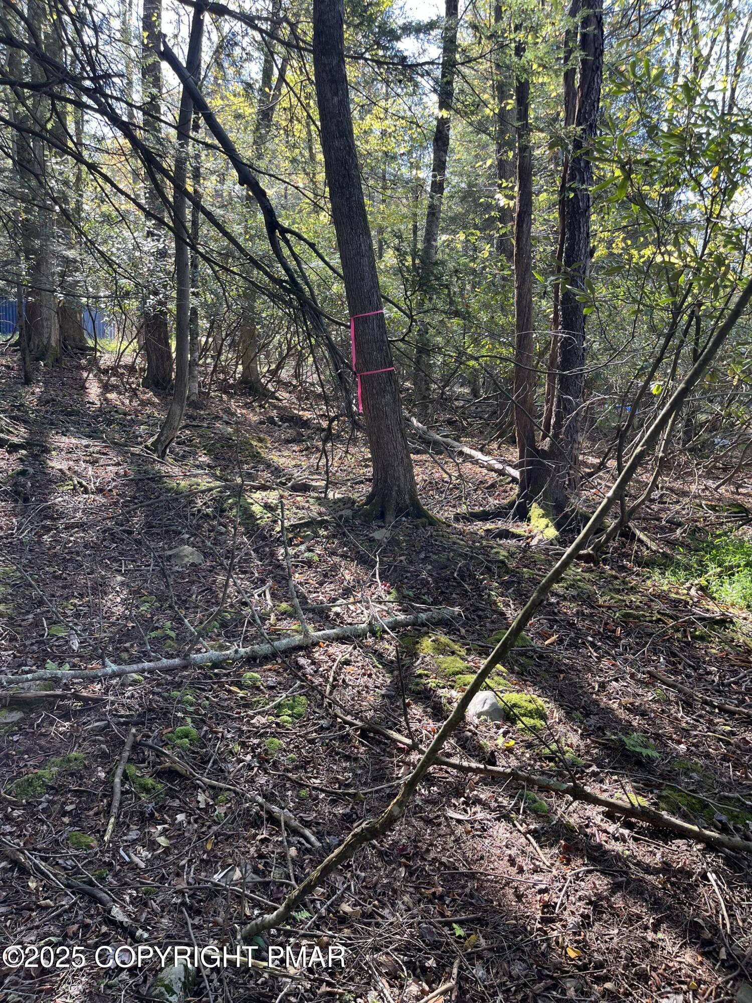 114 Riverside Drive Greentown, PA 18426 - Photo 13 of 20 IMG_1707