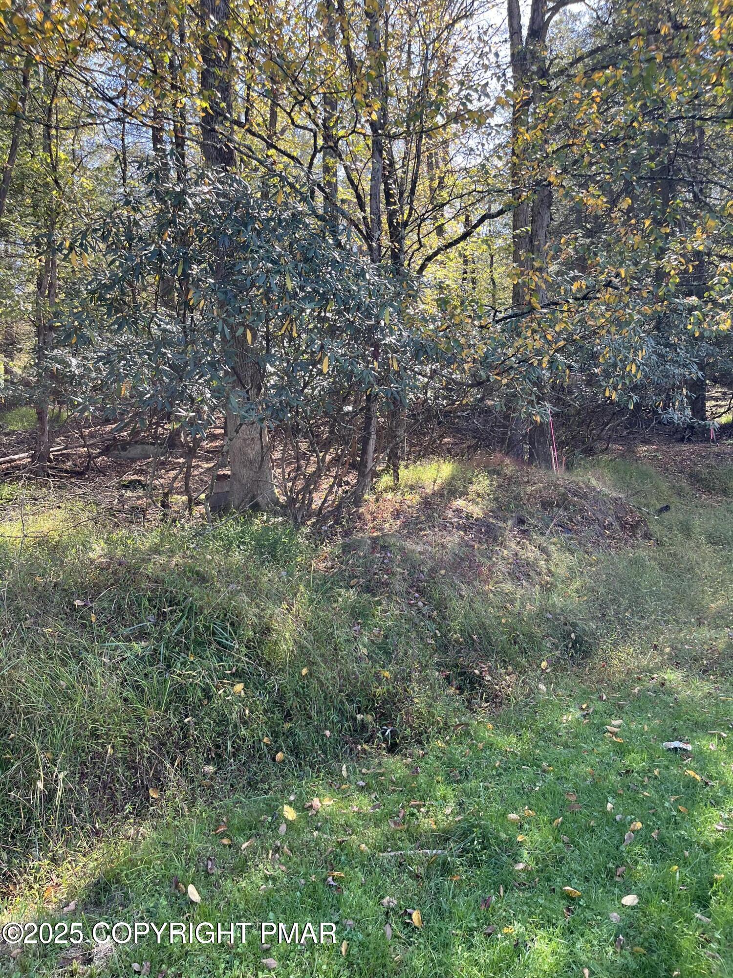 114 Riverside Drive Greentown, PA 18426 - Photo 8 of 20 IMG_1703