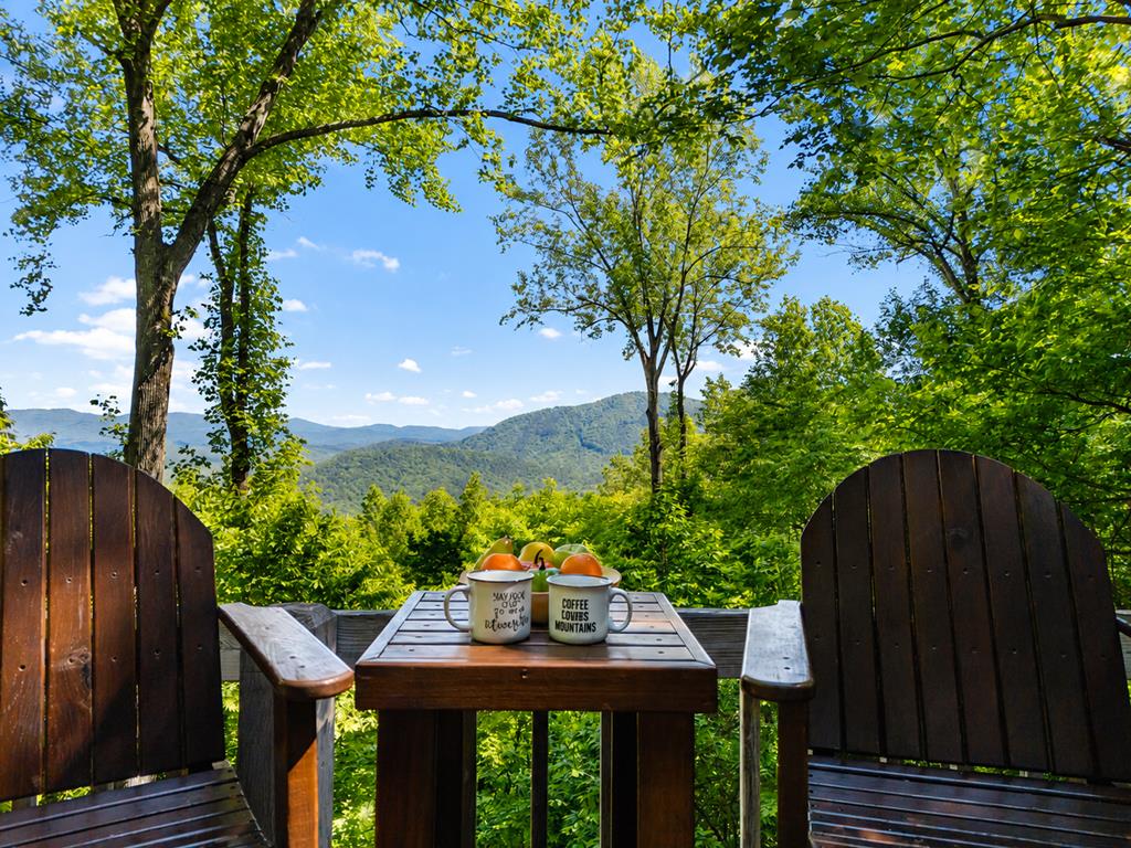 161 Walnut Ridge Ellijay, GA 30536 - Photo 3 of 66