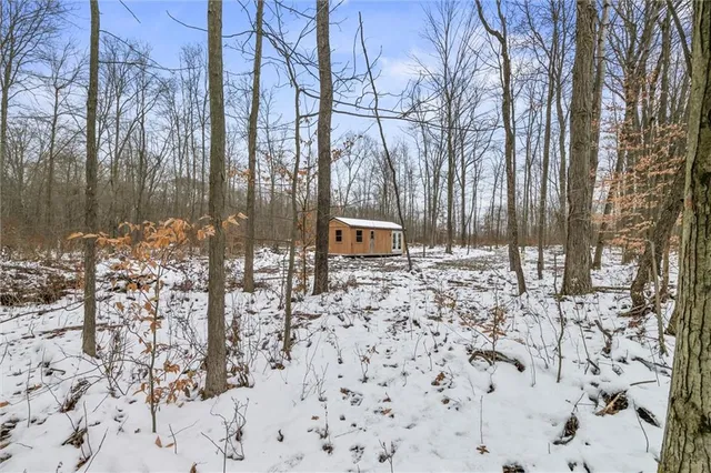 a backyard of a house with lots of green space