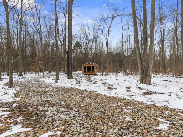 a large tree covered with snow on the side of the road
