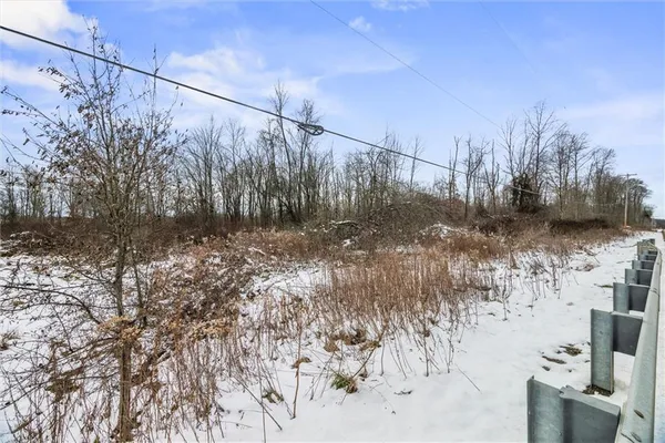 a view of a yard along with trees