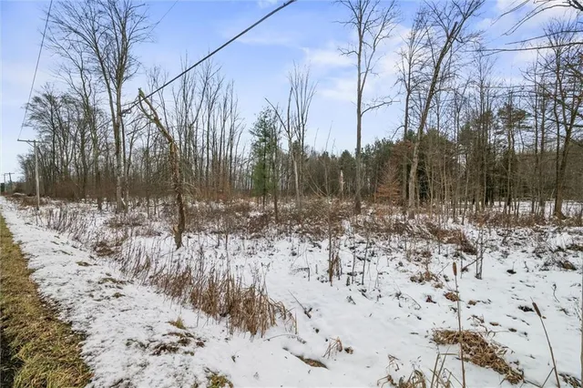 a view of a yard covered in snow