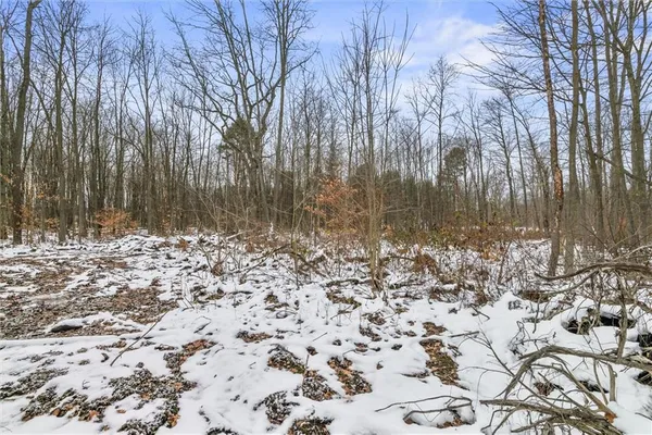 a view of a yard with trees
