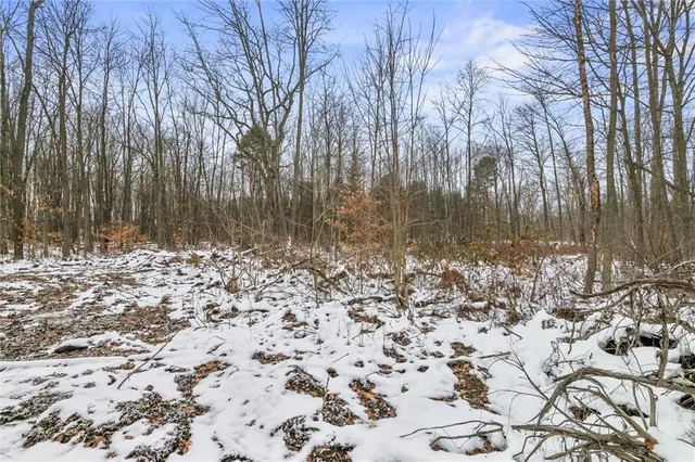 a view of a yard with trees