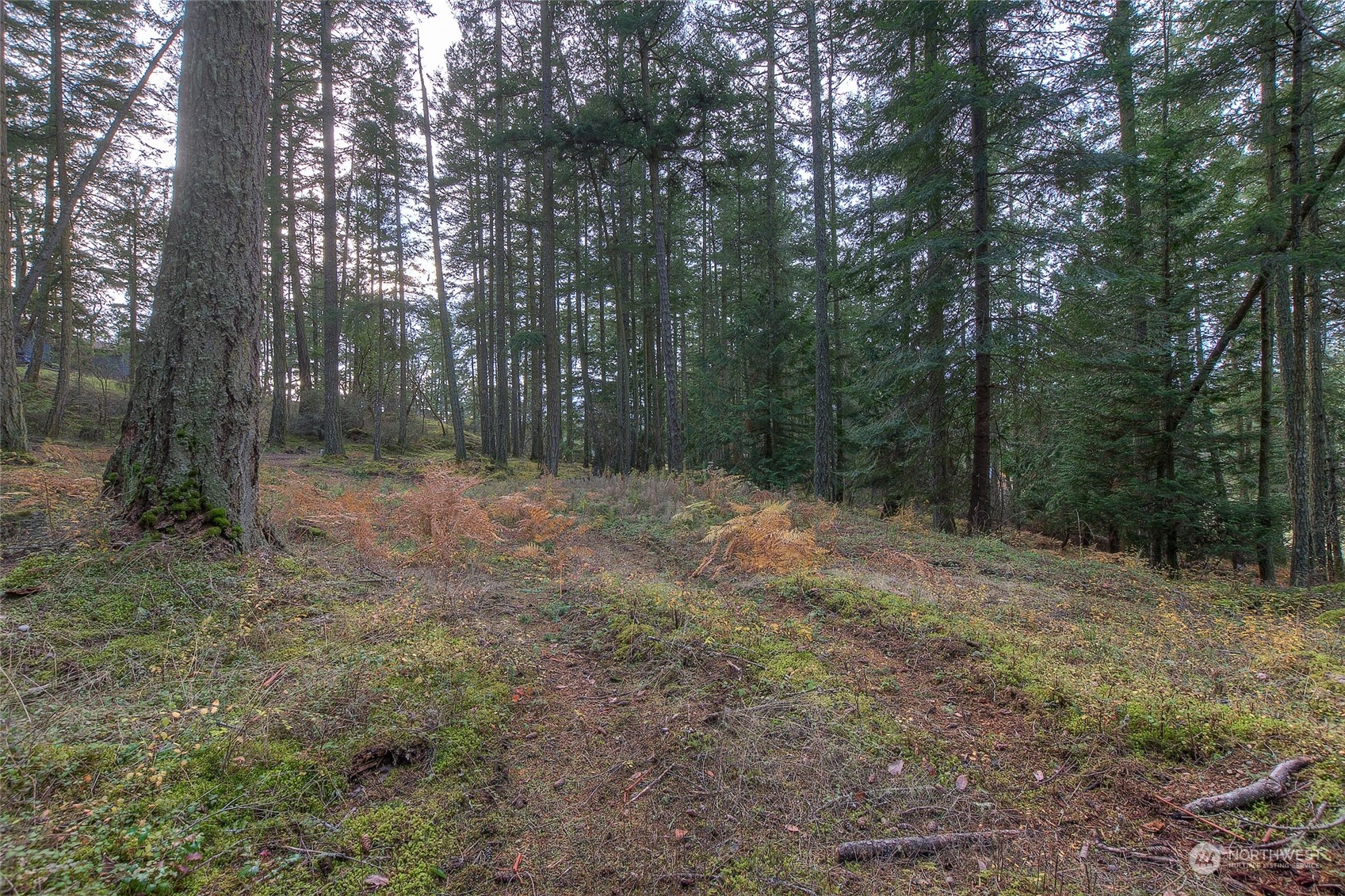 393 Orcas Hill Road Orcas Island, WA 98280 - Photo 21 of 31 Gallery Image 21