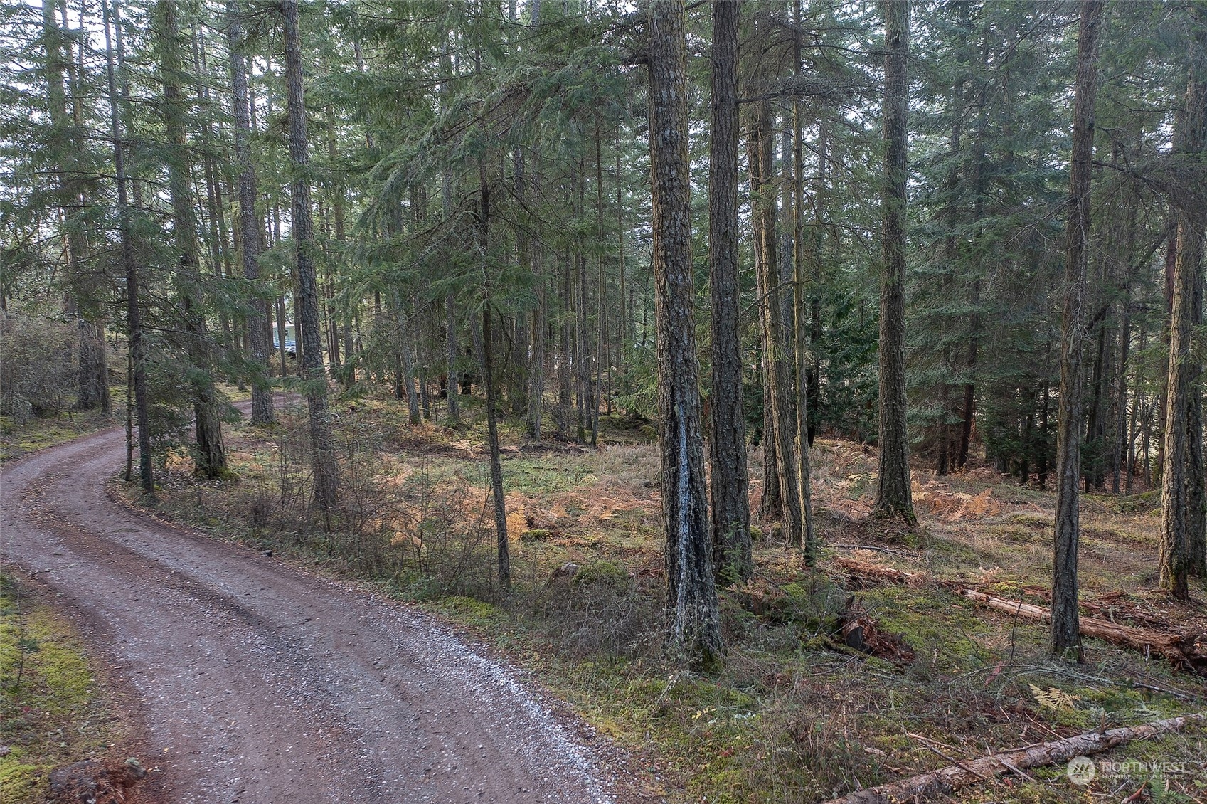 393 Orcas Hill Road Orcas Island, WA 98280 - Photo 5 of 31 Gallery Image 5