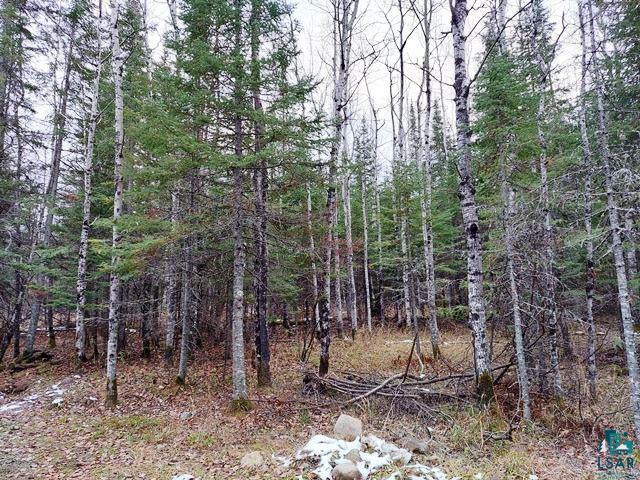 4882 N Road Grand Marais, MN 55604 - Photo 4 of 4