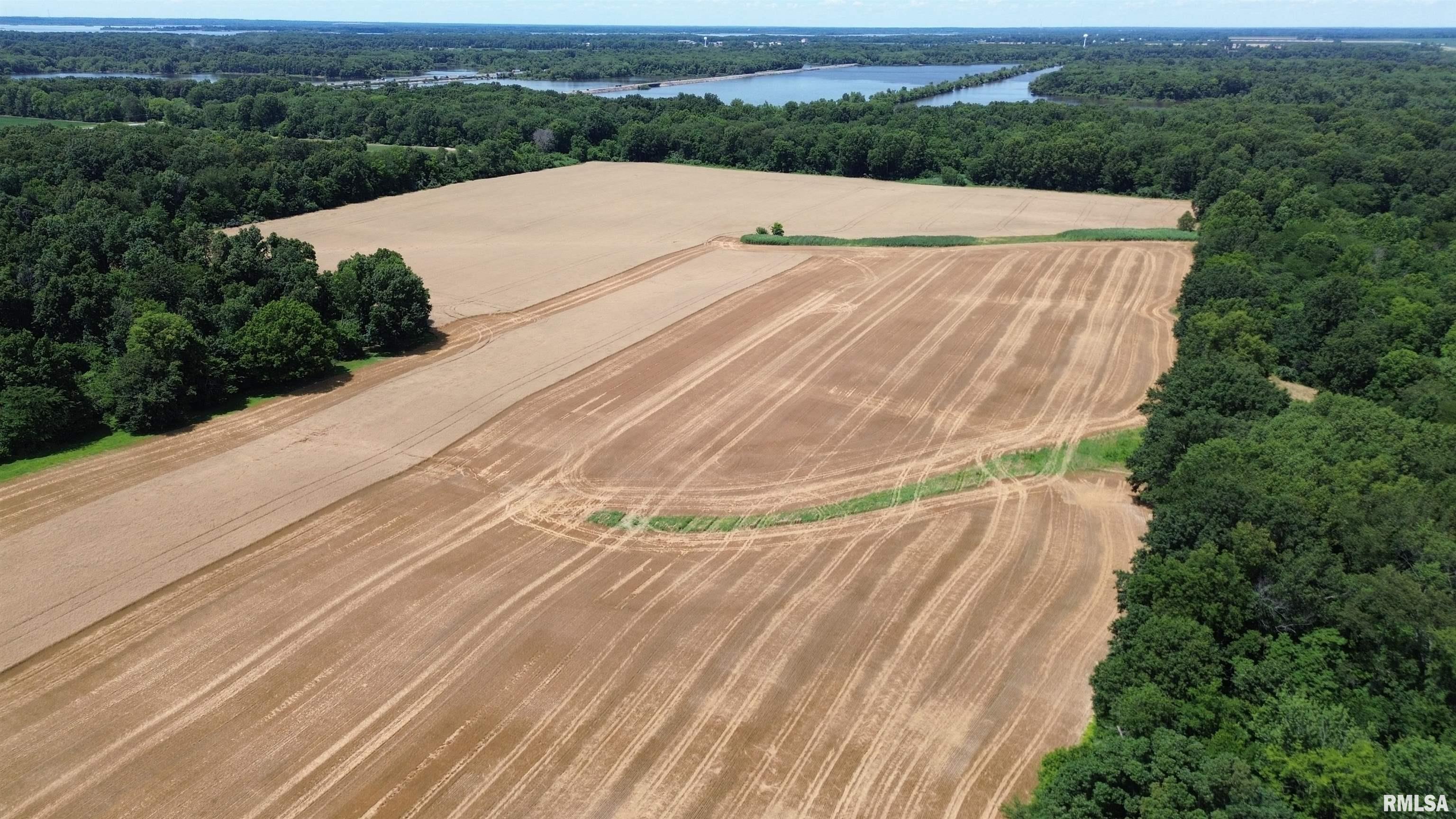 0 Ewing Road Whittington, IL 62897 - Photo 2 of 18