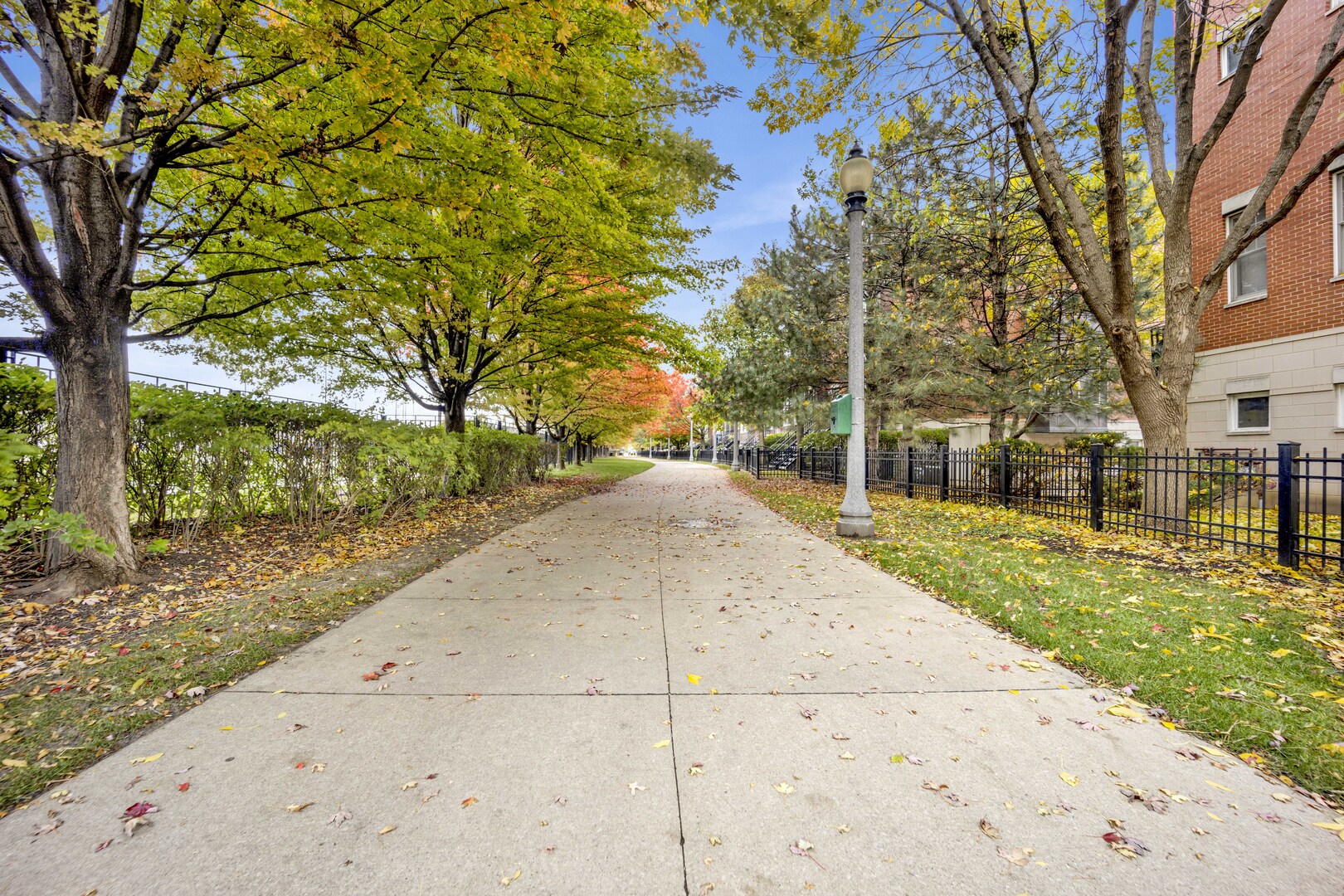 1524 South Sangamon Street, Unit 401 Chicago, IL 60608 - Photo 28 of 55 a view of a backyard with large trees