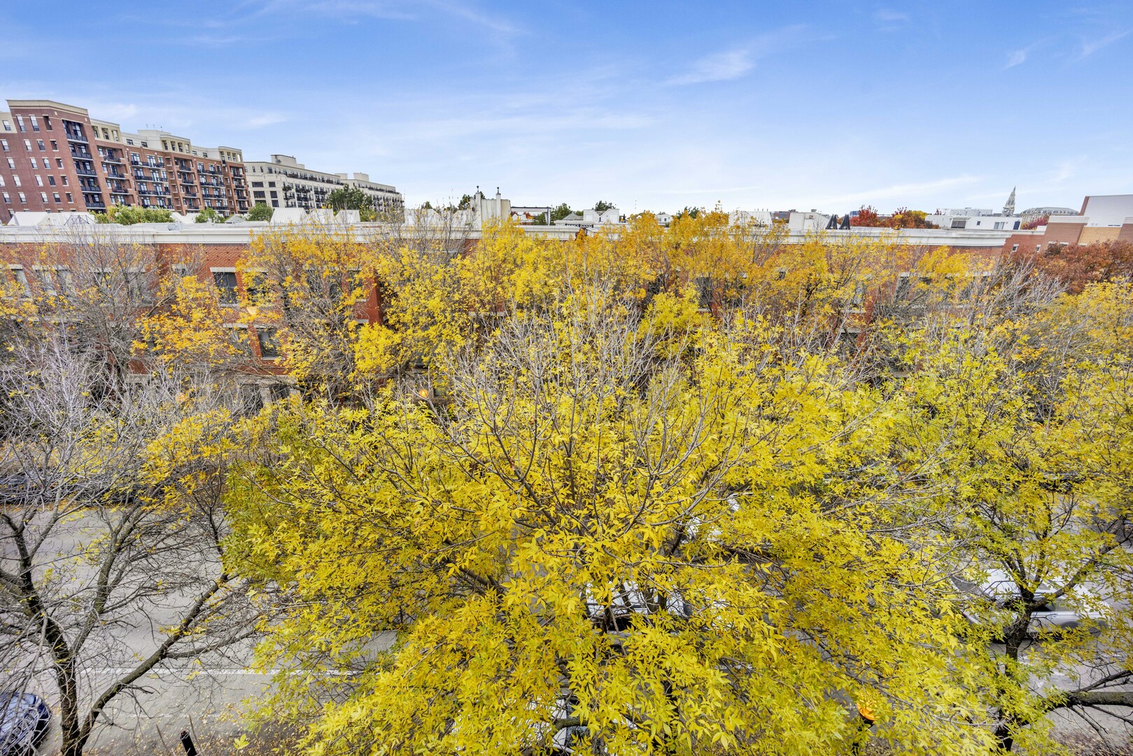 1524 South Sangamon Street, Unit 401 Chicago, IL 60608 - Photo 31 of 55 a view of lake view and mountain view