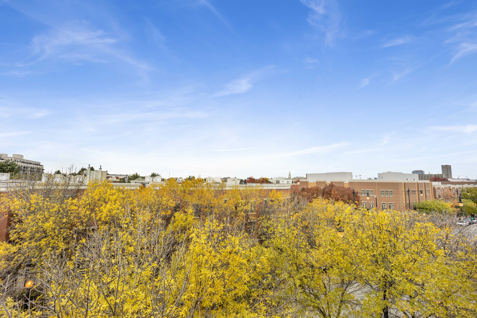 1524 South Sangamon Street, Unit 401 Chicago, IL 60608 - Photo 32 of 55