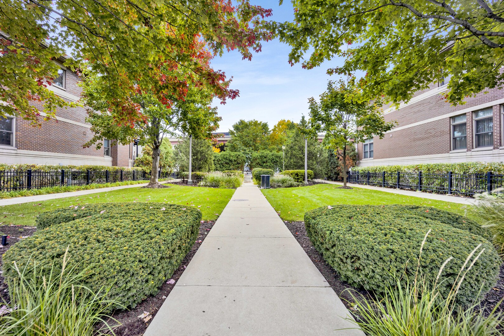 1524 South Sangamon Street, Unit 401 Chicago, IL 60608 - Photo 40 of 55 a view of a park with large trees