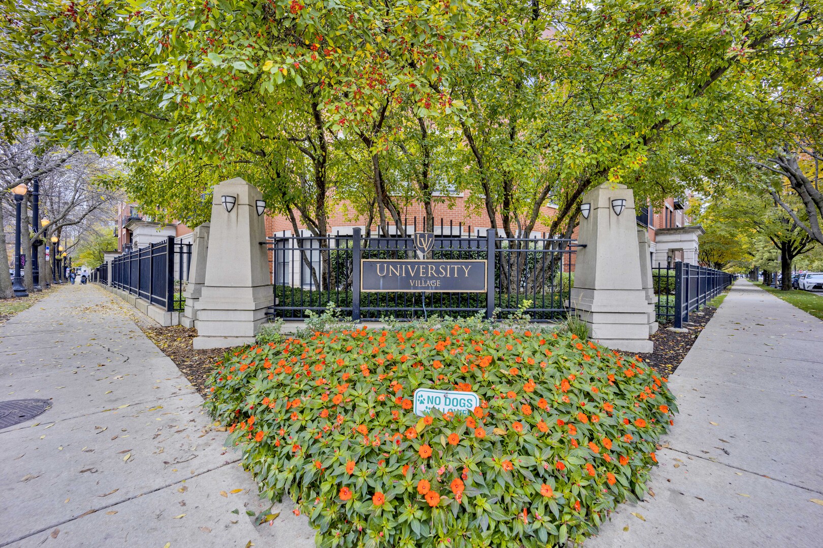 1524 South Sangamon Street, Unit 401 Chicago, IL 60608 - Photo 44 of 55 a view of a backyard with large trees