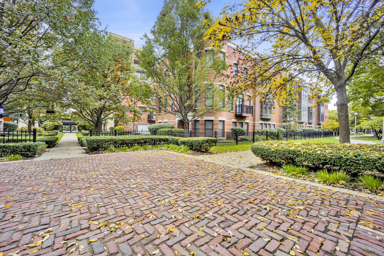 1524 South Sangamon Street, Unit 401 Chicago, IL 60608 - Photo 49 of 55 a sidewalk with a trees and bench in front of it