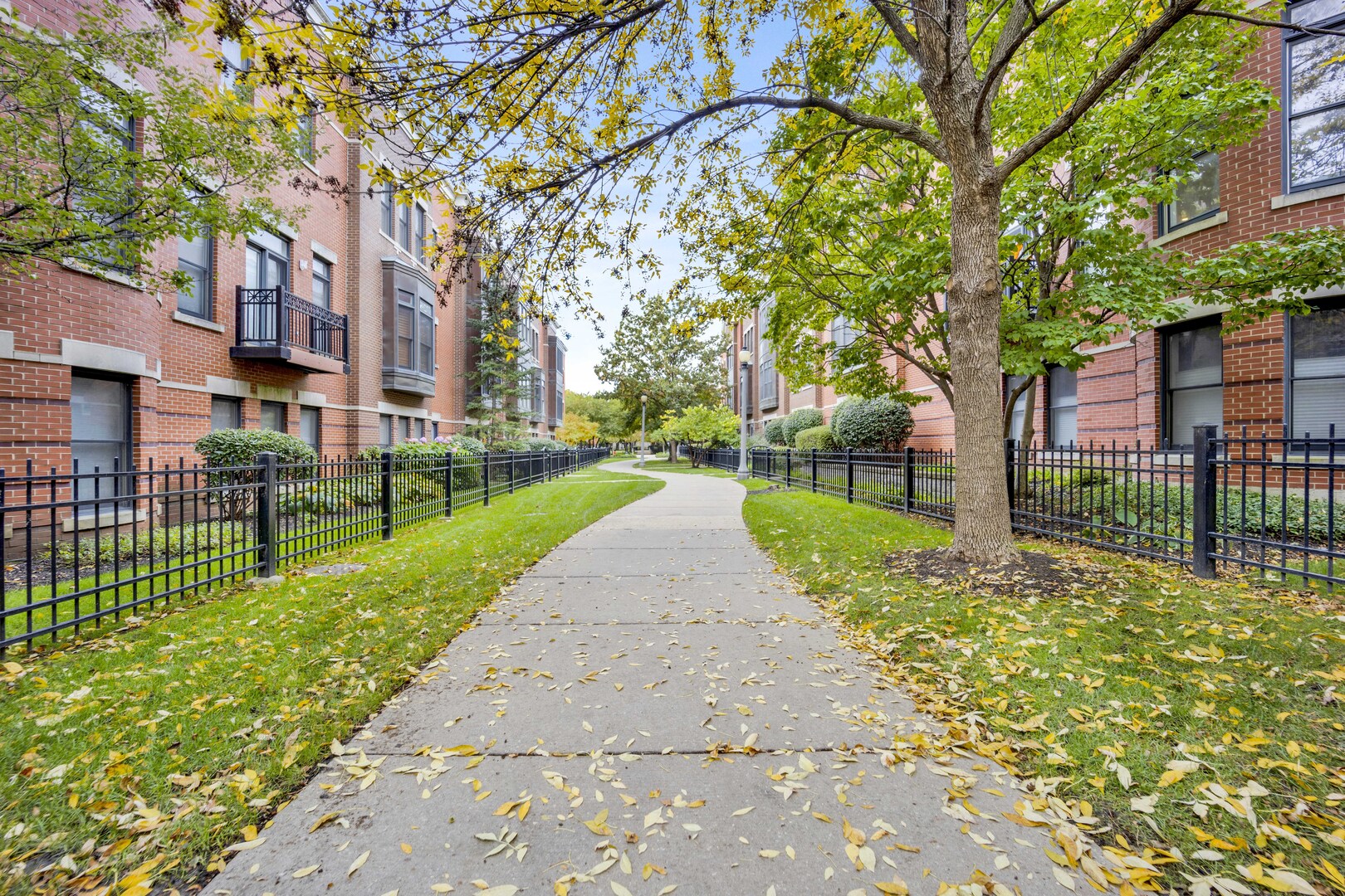 1524 South Sangamon Street, Unit 401 Chicago, IL 60608 - Photo 51 of 55 a view of a street with a house and a large tree