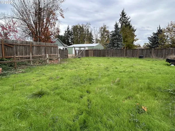 a view of a yard with wooden fence and large trees