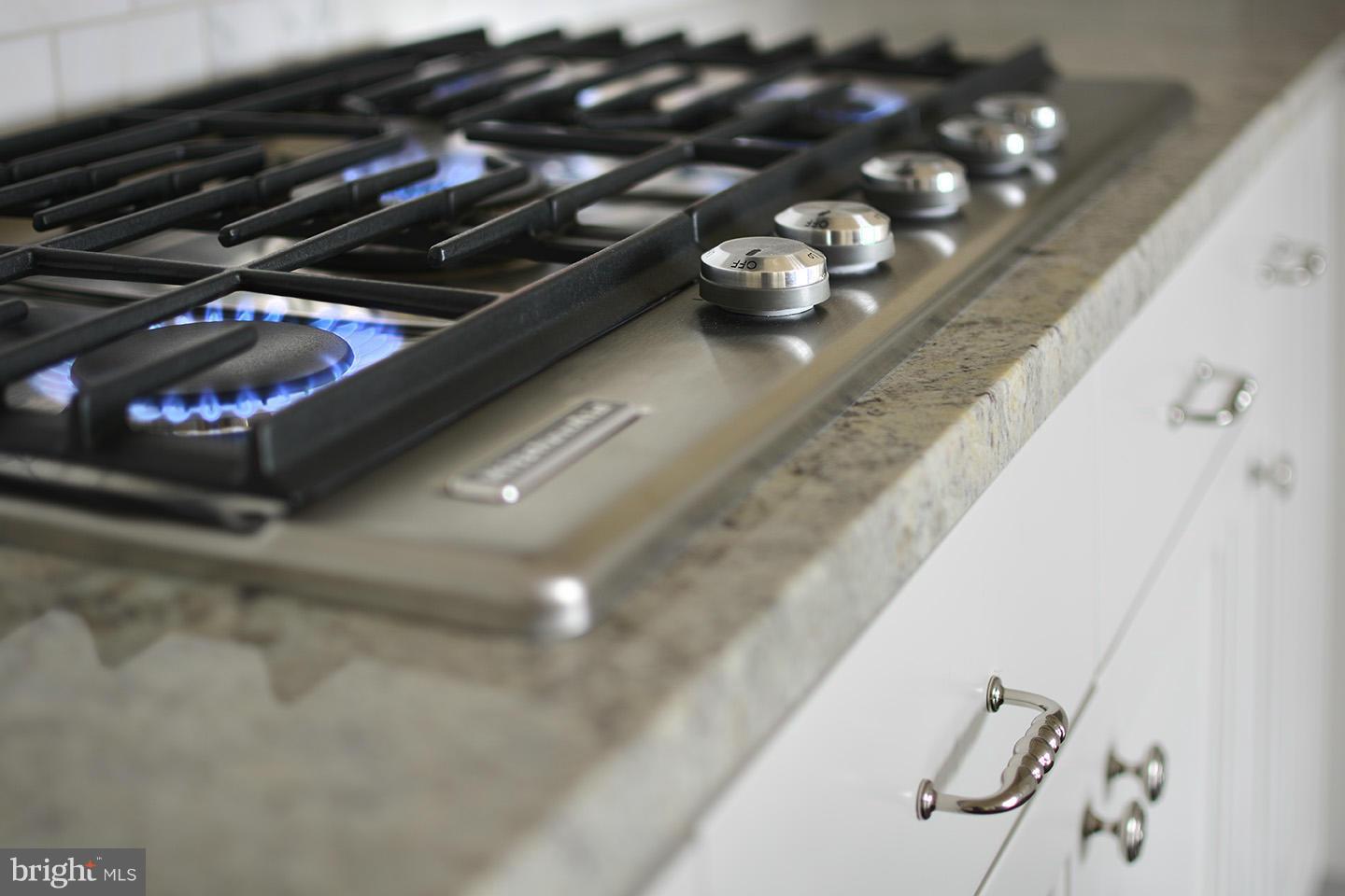 2700 Woodley Road Northwest, Unit VARIES 208 Washington, DC 20008 - Photo 6 of 28 Kitchen