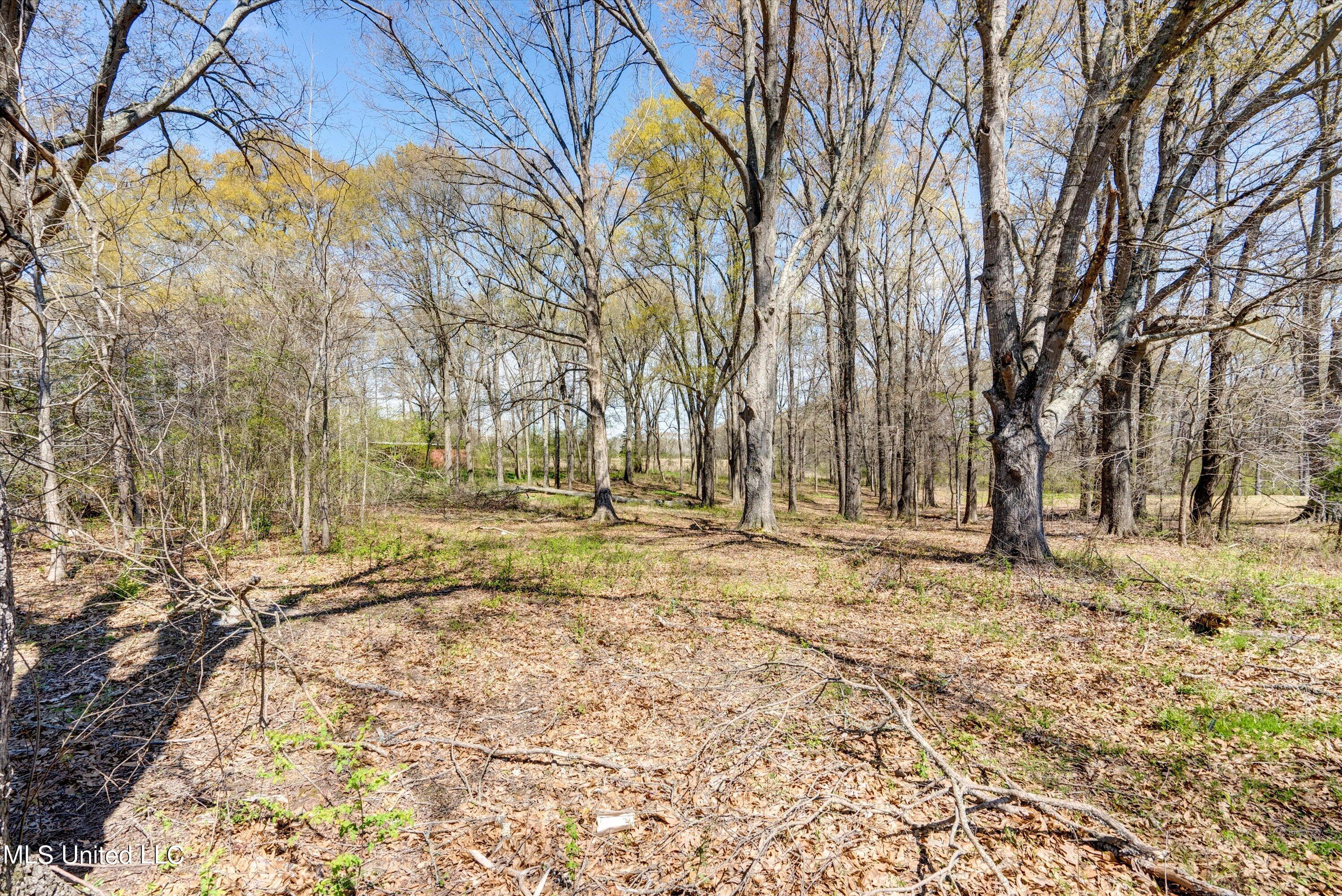 18 Oakley Road Senatobia, MS 38668 - Photo 1 of 6 4-Lot-4