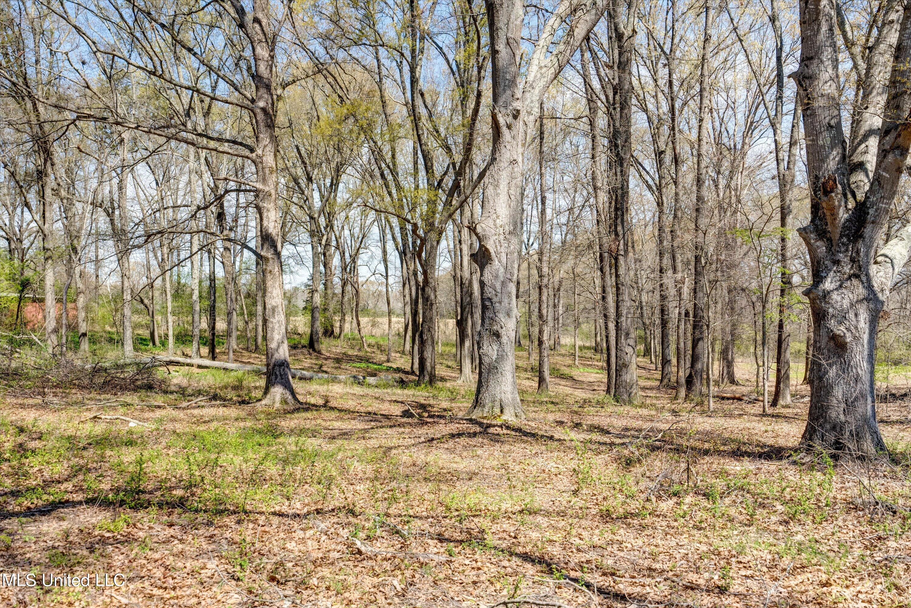 18 Oakley Road Senatobia, MS 38668 - Photo 3 of 6 5-Lot-5
