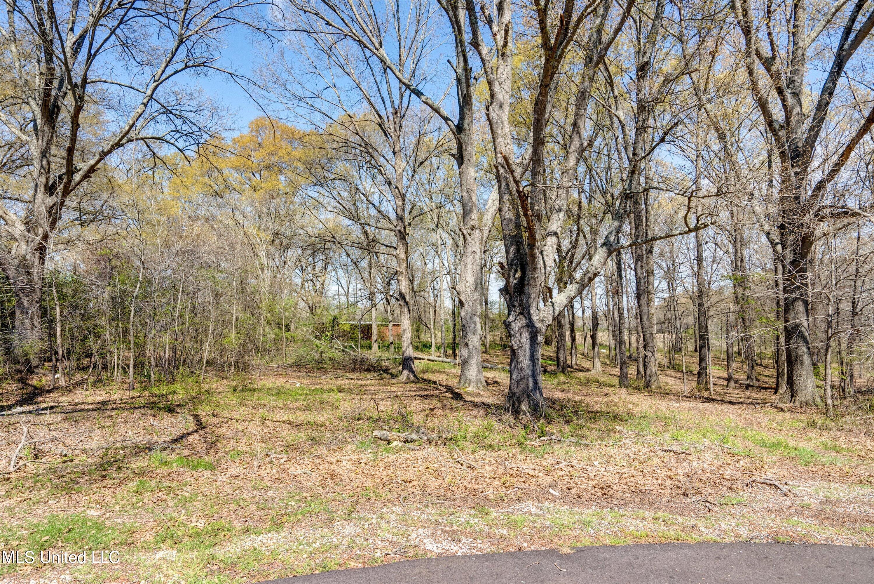 18 Oakley Road Senatobia, MS 38668 - Photo 5 of 6 3-Lot-3