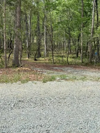 a backyard of a house with lots of trees