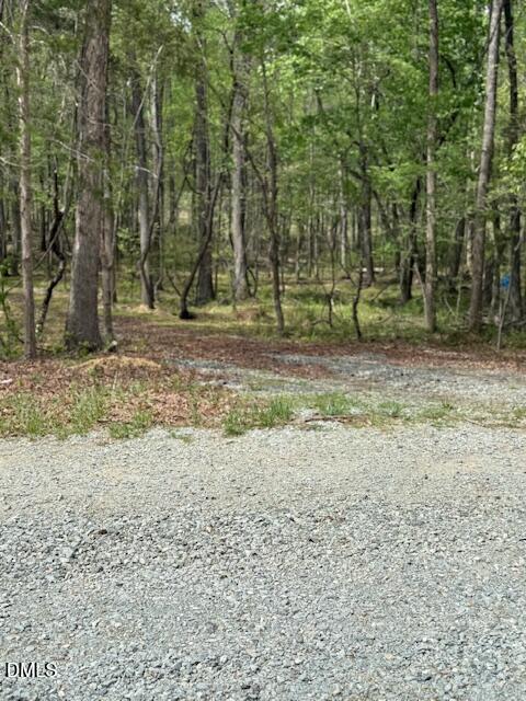 6416 Coltsfoot Drive Rougemont, NC 27572 - Photo 2 of 6 IMG_2162