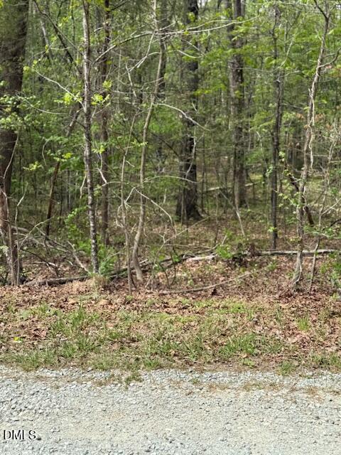 6416 Coltsfoot Drive Rougemont, NC 27572 - Photo 3 of 6 IMG_2161