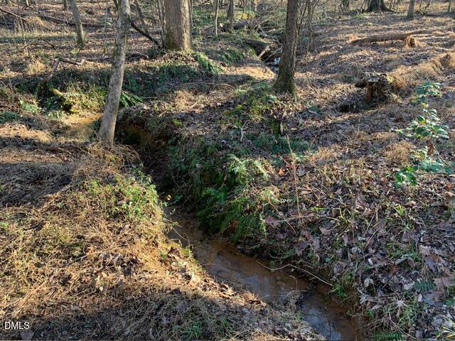 6416 Coltsfoot Drive Rougemont, NC 27572 - Photo 4 of 6 IMG_2134