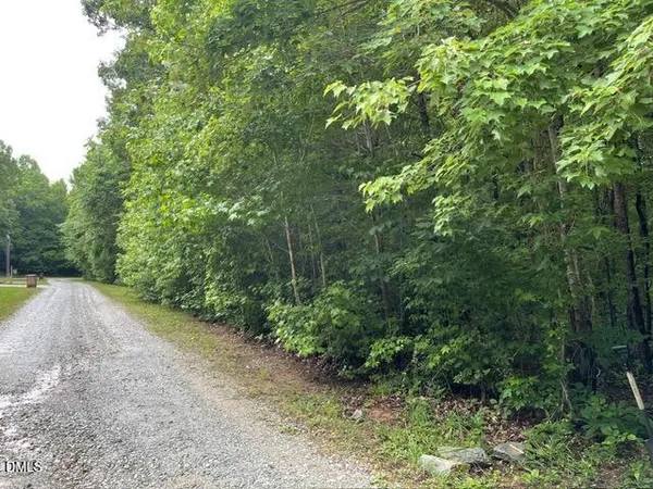 a view of a yard with plants and trees
