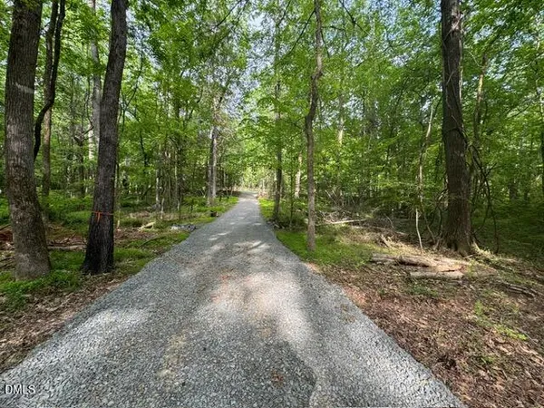 a view of a road with trees in the background
