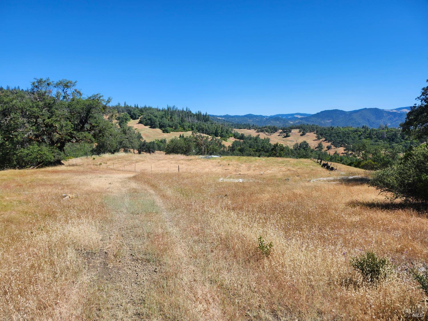 22551 Rifle Range Road Covelo, CA 95428 - Photo 5 of 24