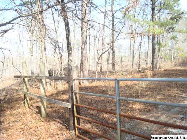 1180 Thompson Road, Unit 39 ACRES Ohatchee, AL 36271 - Photo 15 of 16