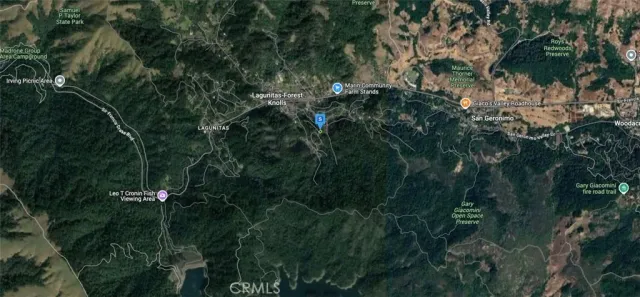 a view of a plant in a garden