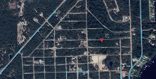 $7,800 | 313 Calhoun Avenue, Florahome, FL 32140