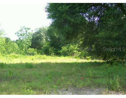 0 Ennis Sheard Road Seffner, FL 33584 - Photo 1 of 1 Exterior Front