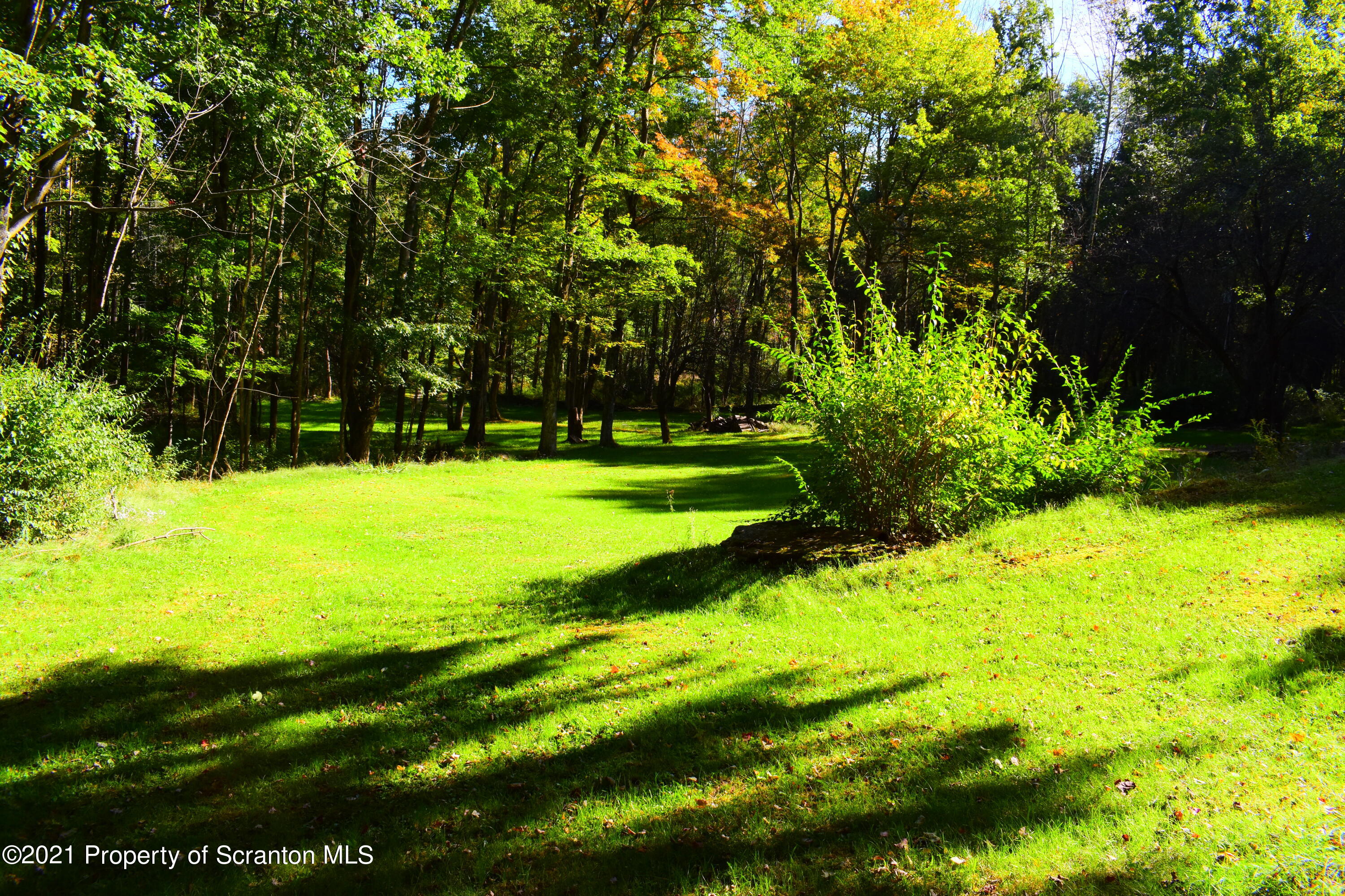 137 Conroy Road Montrose, PA 18801 - Photo 3 of 54 a view of a big yard with large trees