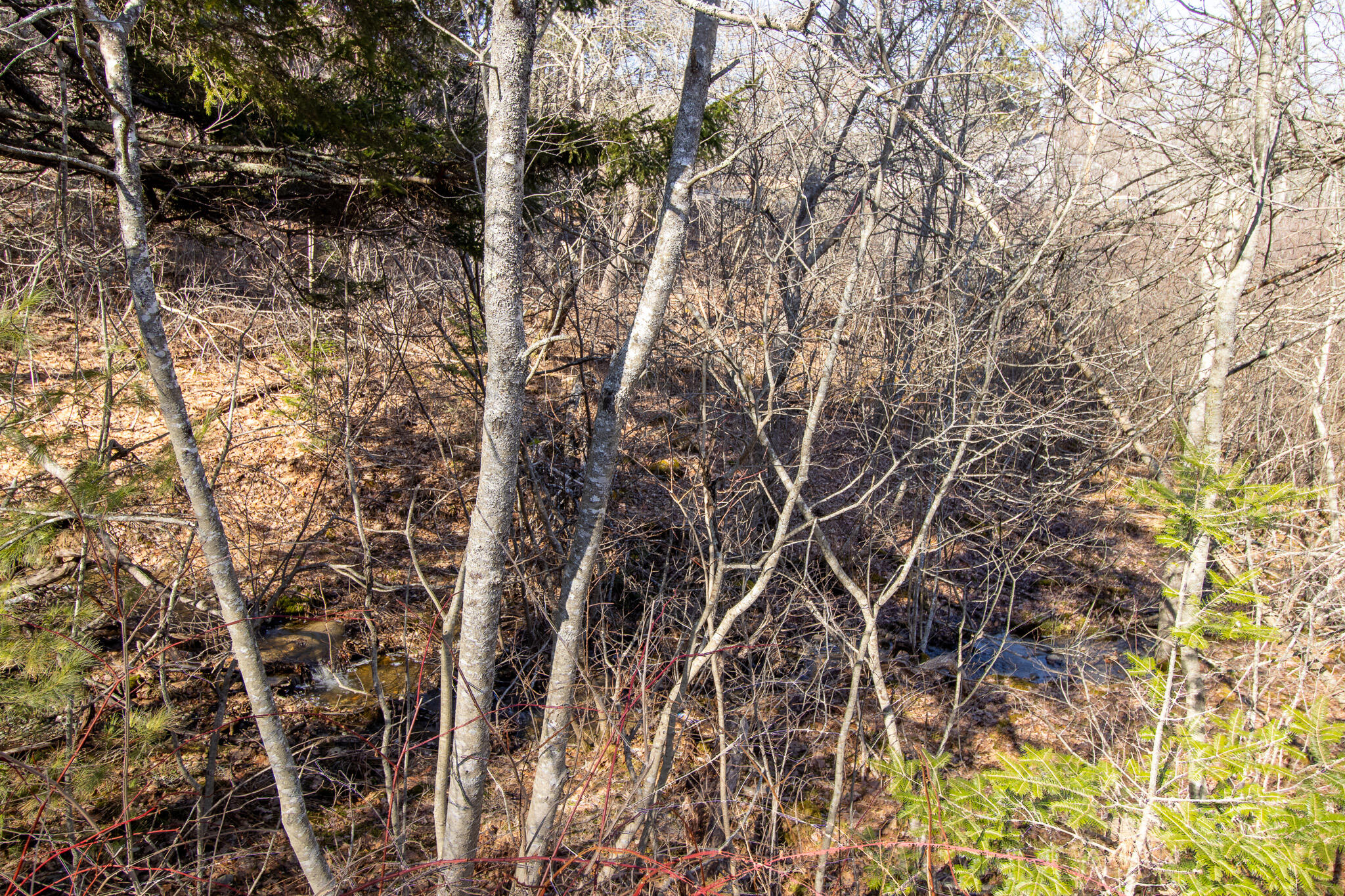 294 Rim Road East Machias, ME 04630 - Photo 27 of 74 25