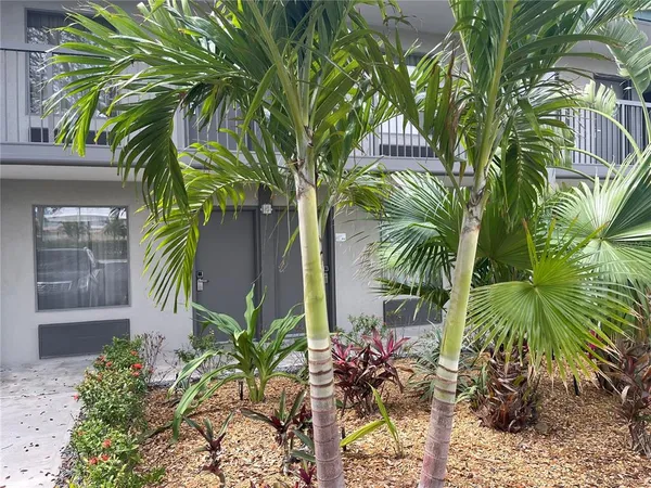 a close up of a palm trees in front of a house