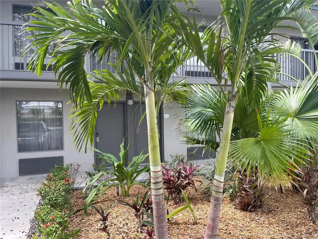 a close up of a palm trees in front of a house
