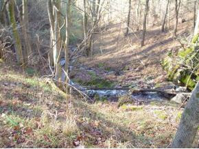 452 Timbertree Branch Road Kingsport, TN 37660 - Photo 2 of 7 Photo 2