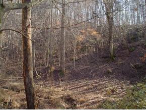 452 Timbertree Branch Road Kingsport, TN 37660 - Photo 3 of 7 Photo 3